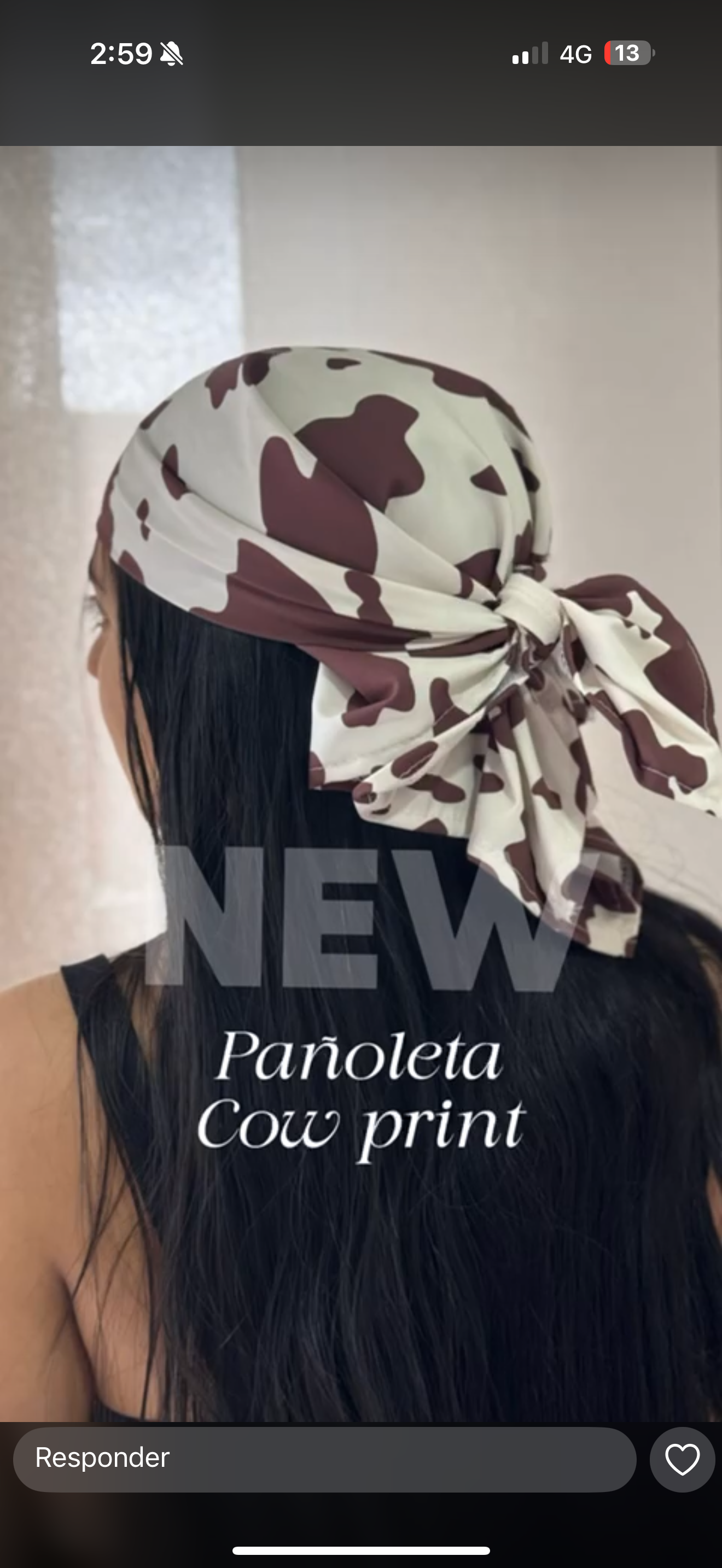 Pañoleta